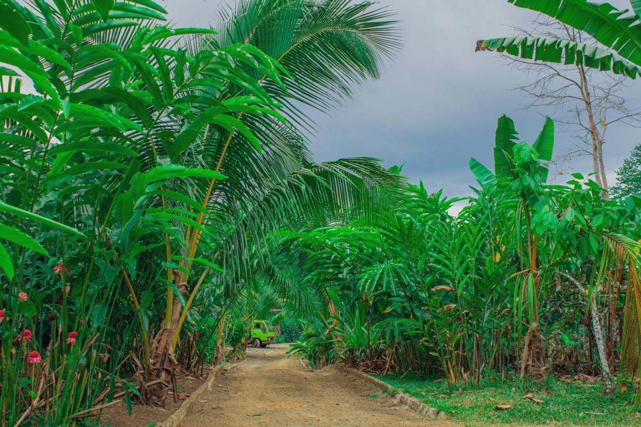 Eden Valley Ecolodge And Farming Madalena Экстерьер фото
