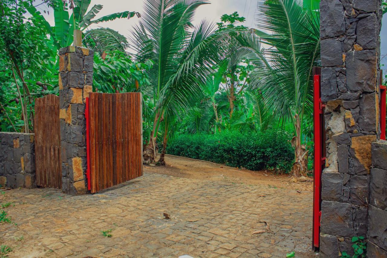 Eden Valley Ecolodge And Farming Madalena Экстерьер фото